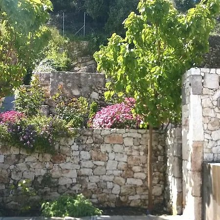 Daphni *